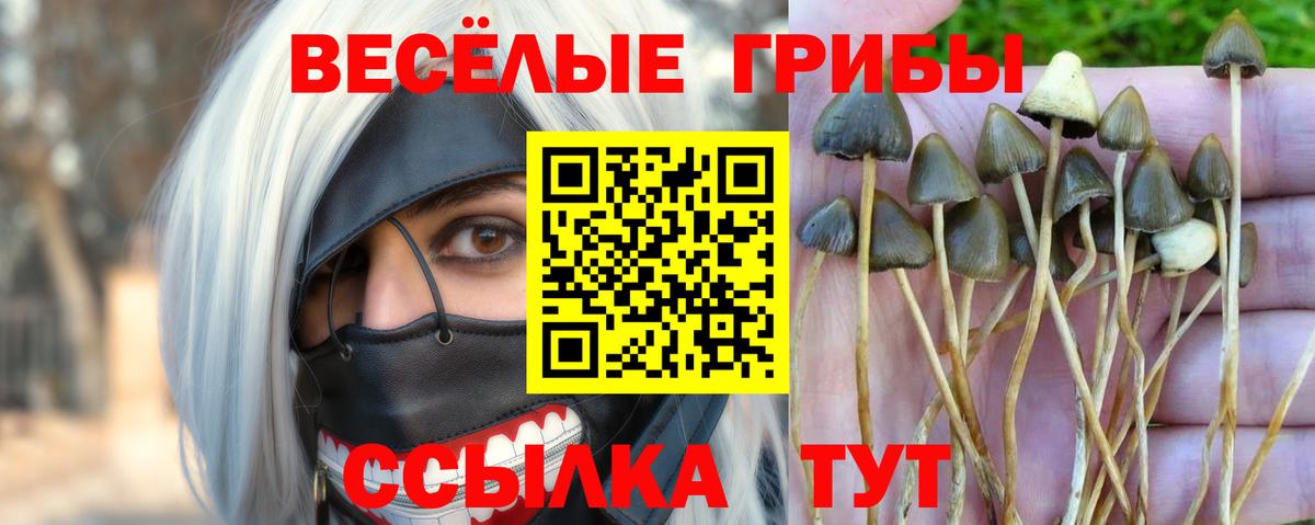 Галлюциногенные грибы прущие грибы Южно-Сахалинск