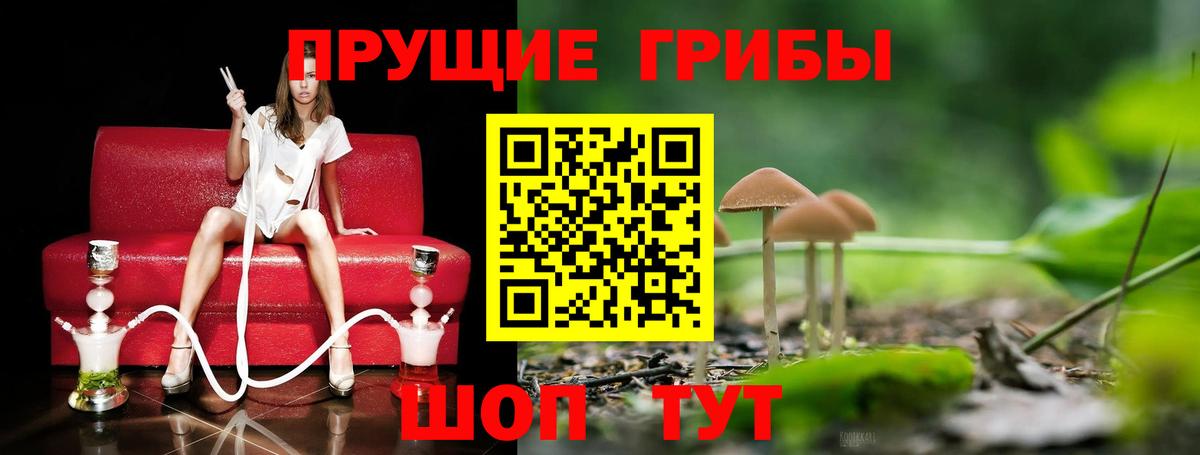 Псилоцибиновые грибы ЛСД  Вход с VPN  Южно-Сахалинск  Псилоцибиновые грибы GOLDEN TEACHER 